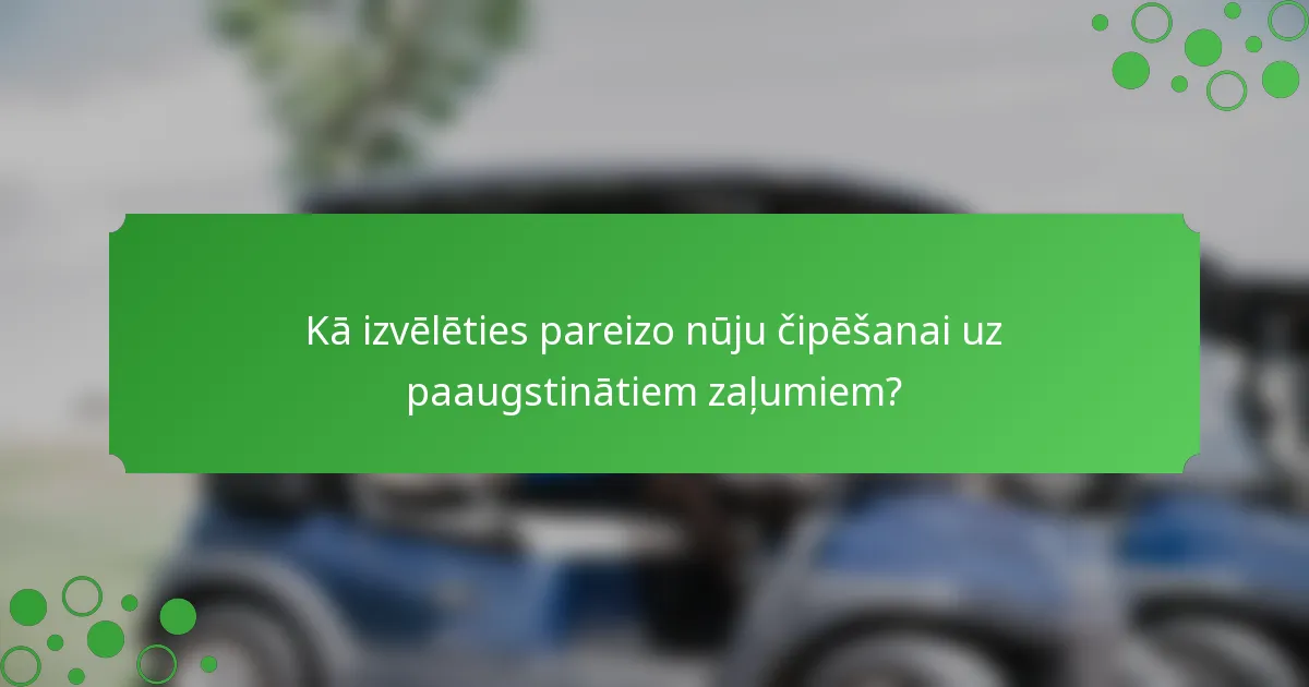 Kā izvēlēties pareizo nūju čipēšanai uz paaugstinātiem zaļumiem?