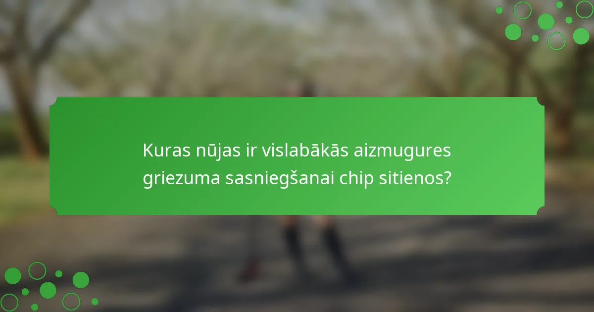 Kuras nūjas ir vislabākās aizmugures griezuma sasniegšanai chip sitienos?